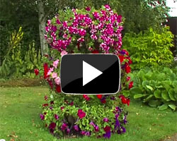 How to Plant up a 3-tiered Planter Video