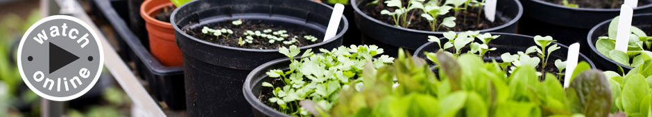 How to gardening video library