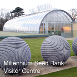 Visit the Millennium Seed Bank at Wakehurst Place