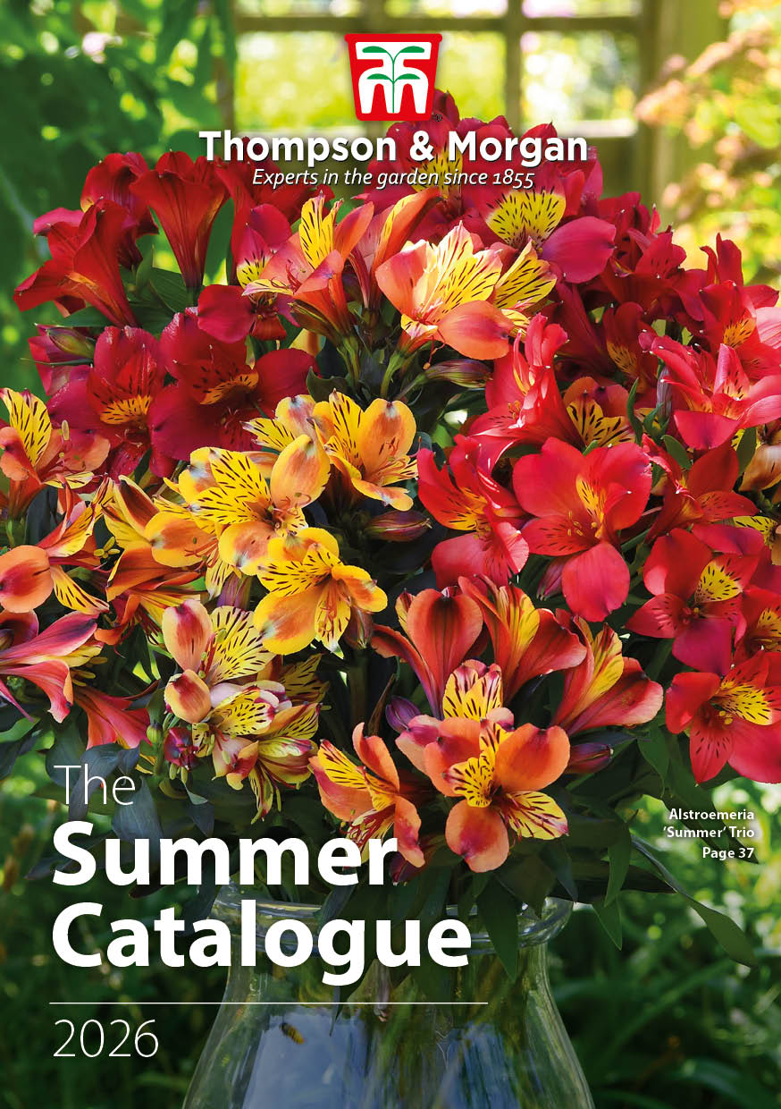 Summer 2023 Catalogue