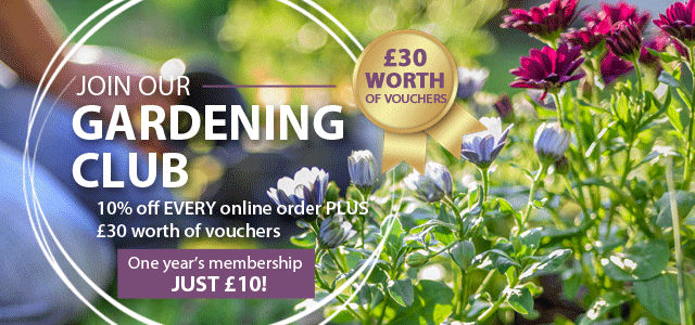 Membership Signup