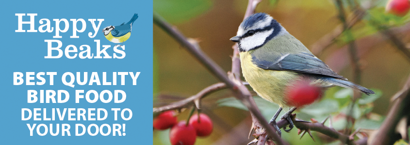 Happy Beaks Banner