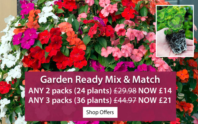 Garden Ready