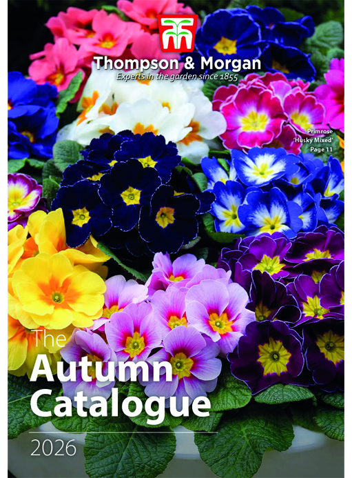 Summer 2023 Catalogue