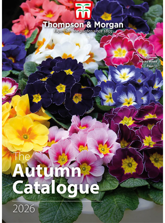 Autumn Catalogue 2026