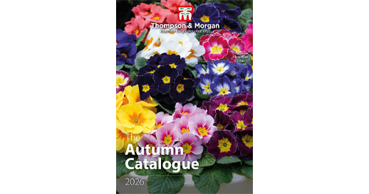 Autumn Catalogue 2026