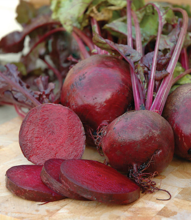 Beetroot 'Boltardy'