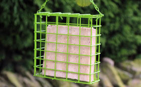 Fat Ball and Suet Feeders