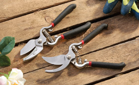 Secateurs, Snips and Pruners