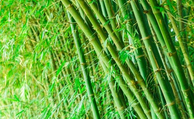 Exotic And Unusual Hedging