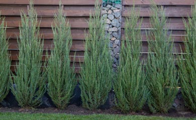 Hedging By Feature