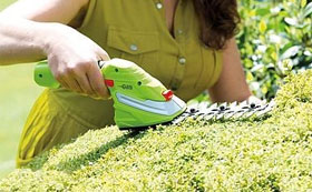 Hedging Essentials
