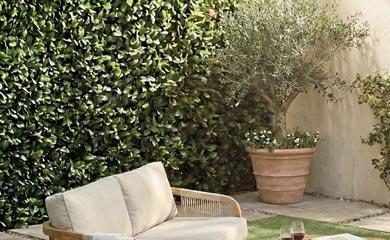 Low Maintenance Hedging