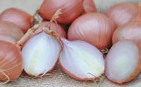 Onion & Leek Seeds