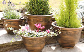 Plant Pots & Hanging Baskets