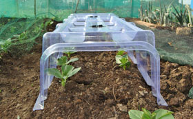 Plant Protection & Pest Control