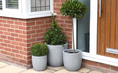 Pot grown trees
