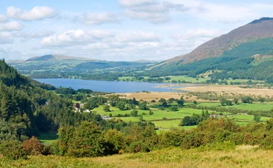 Trees for Scotland & North England