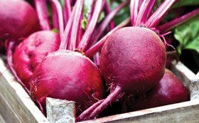 Seeds to Sow in April