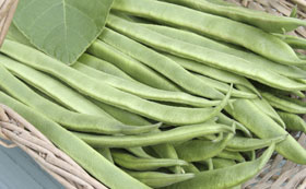 Seeds to Sow in July