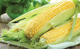Seeds to Sow in May