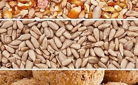Bird Food, Feeders & Wildlife