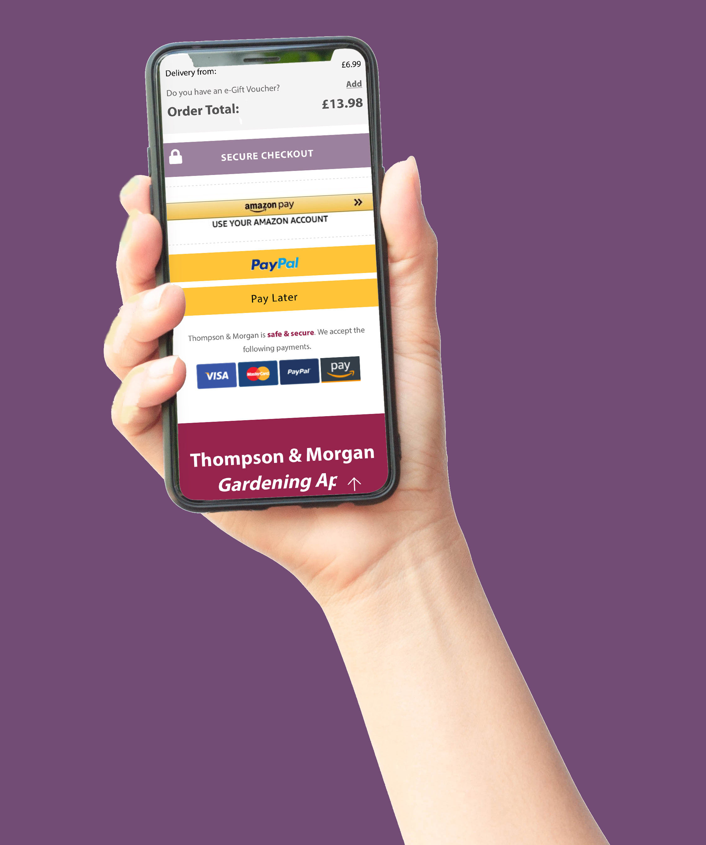pay with paypal