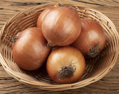 Onion 'Autumn Champion'