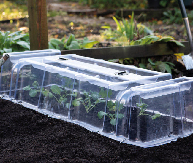 Garden Essentials