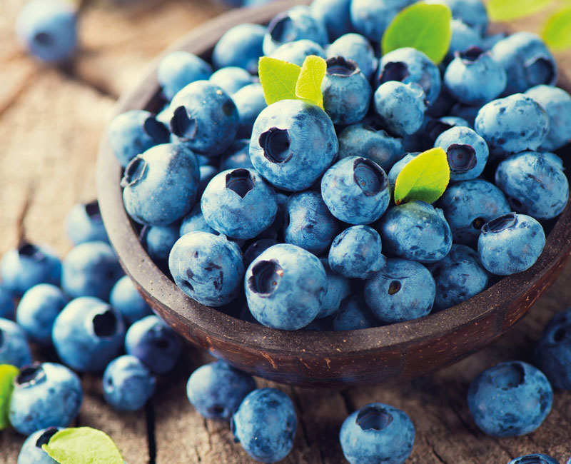 Blueberry 'Duke' from £9.99