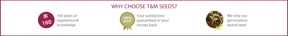 Why Choose T&M Seeds