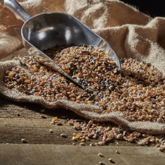 Seed Mixes