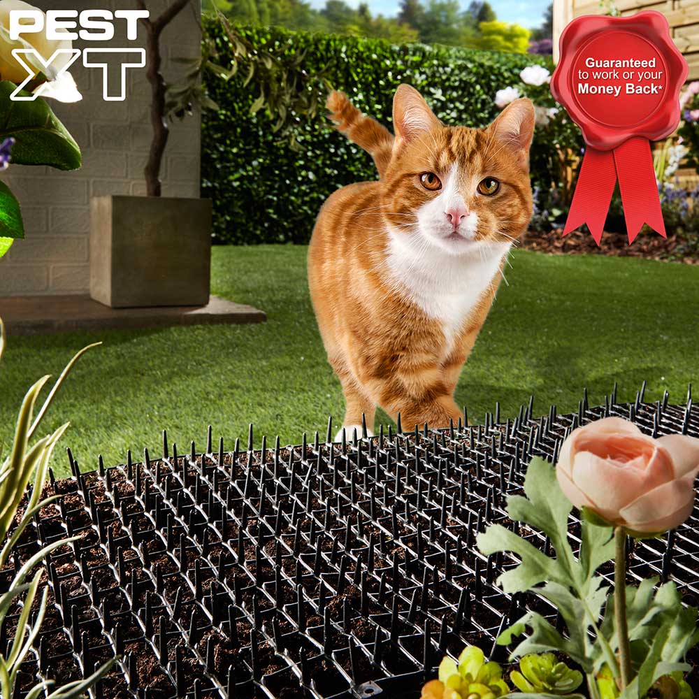 Details about   Garden Cat Scat Mats Anti-cat Prickle Strips Keep Cat Away Safe Plastic Spike UK 