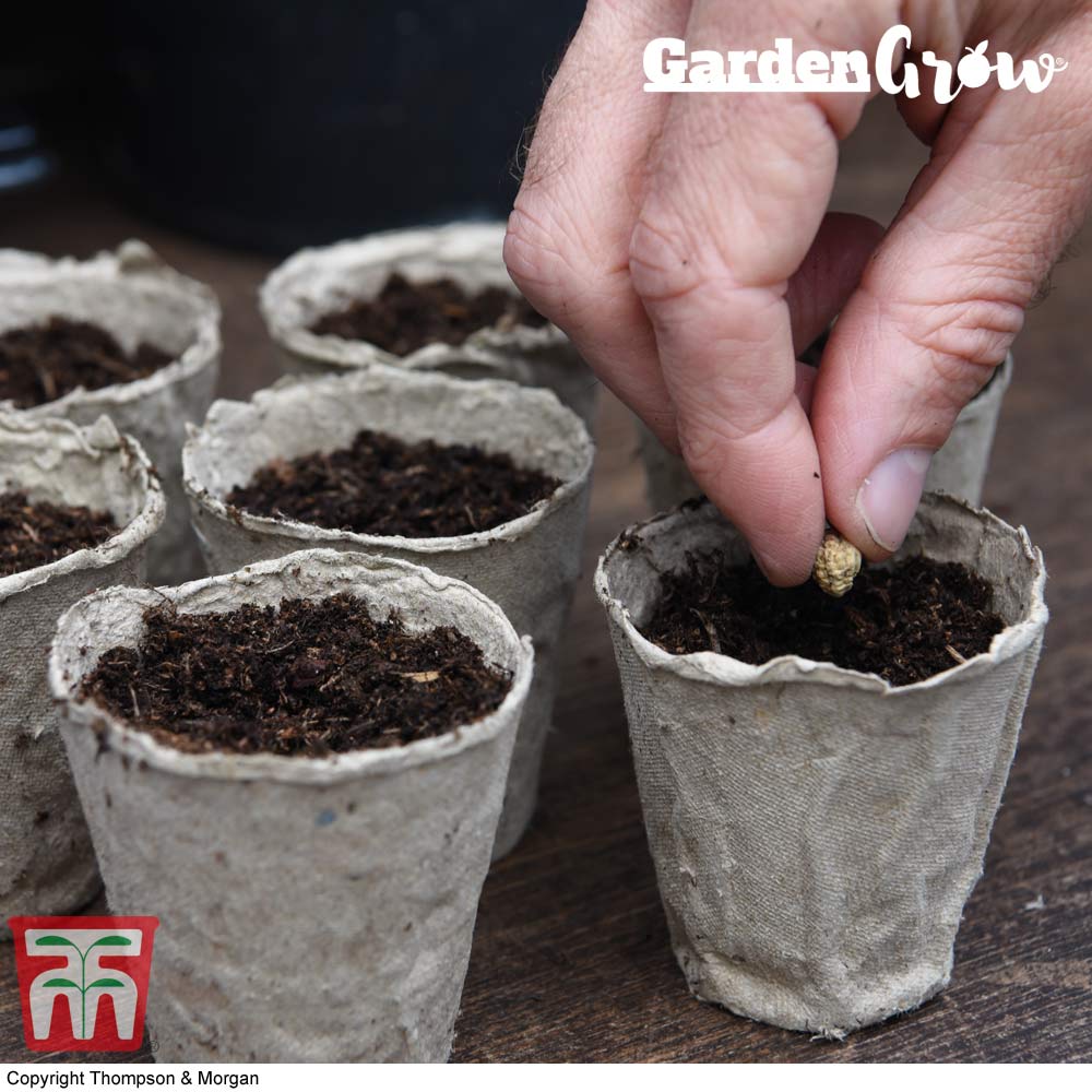 Image of Garden Grow Fibre Grow Pots