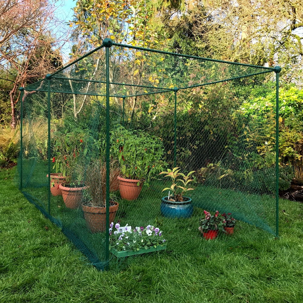 Build-a-Cage Modular Fruit & Vegetable Cage Kit - 1.25m High with Bird Mesh