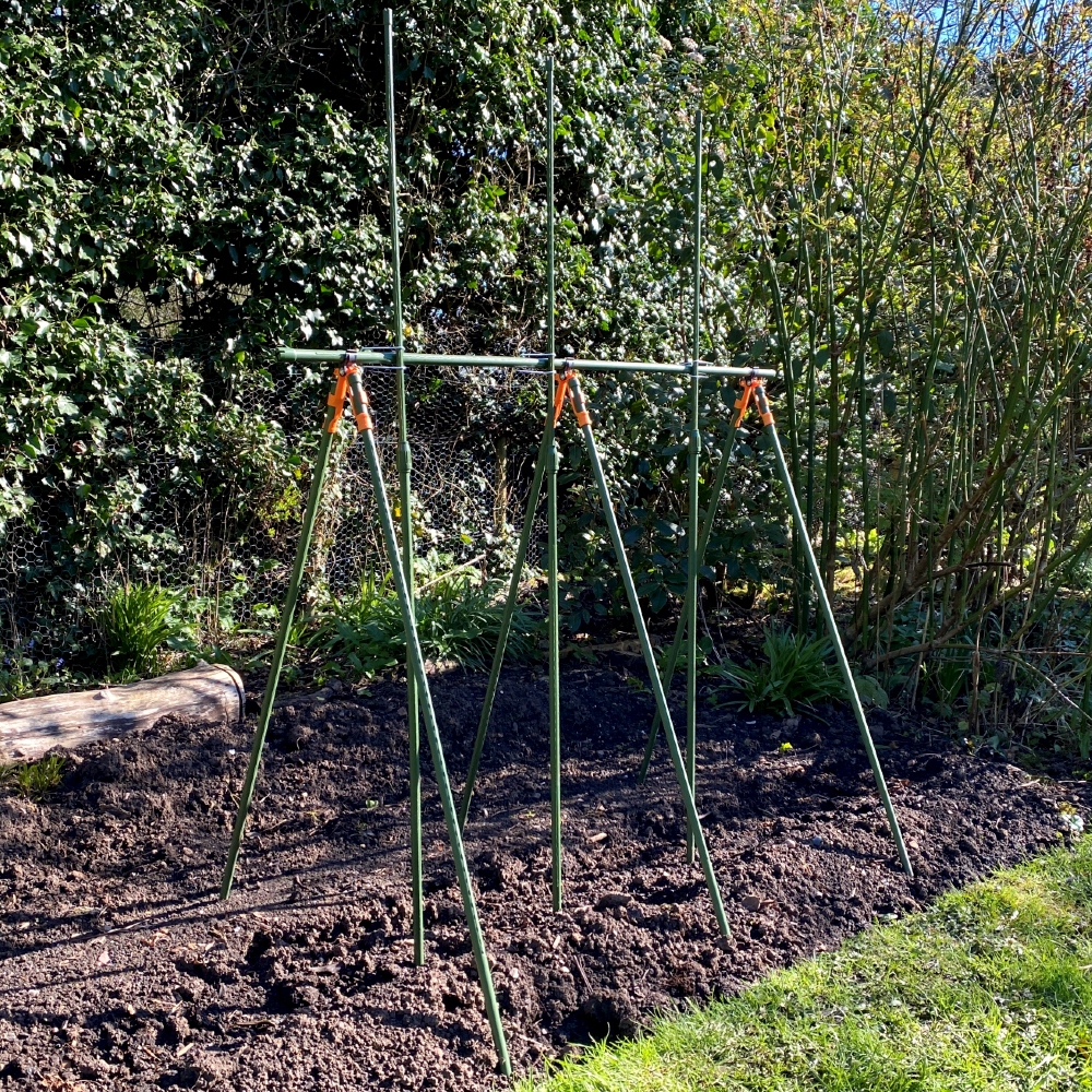 Sturdy Tomato Trellis Designs: Ensuring Support for Heavy Fruit