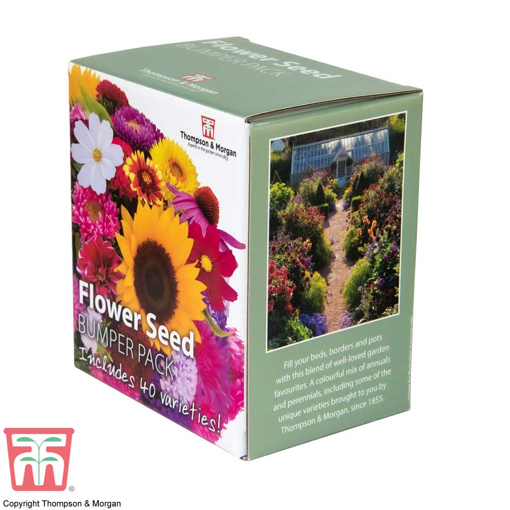 Ideal Gift Sunflower Cosmos Poppy 1 x Flower Seed Bumper Pack by Thompson and Morgan Flower Seed Box Bumper Pack Includes 40 Different Varieties Aster Pansy and More Plus 1 Pair of Garden Snips