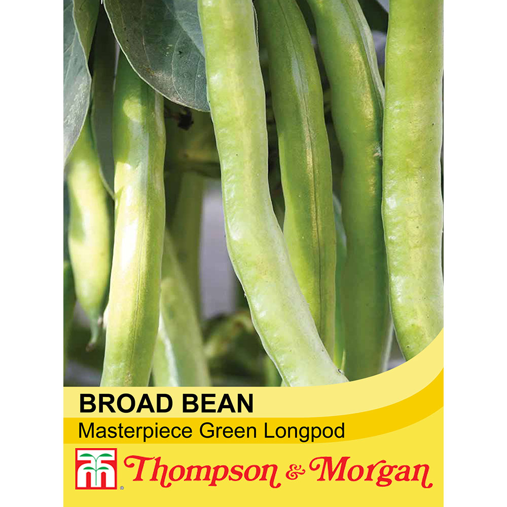 Broad Bean Masterpiece Green Longpod Vegetable 30 seeds 
