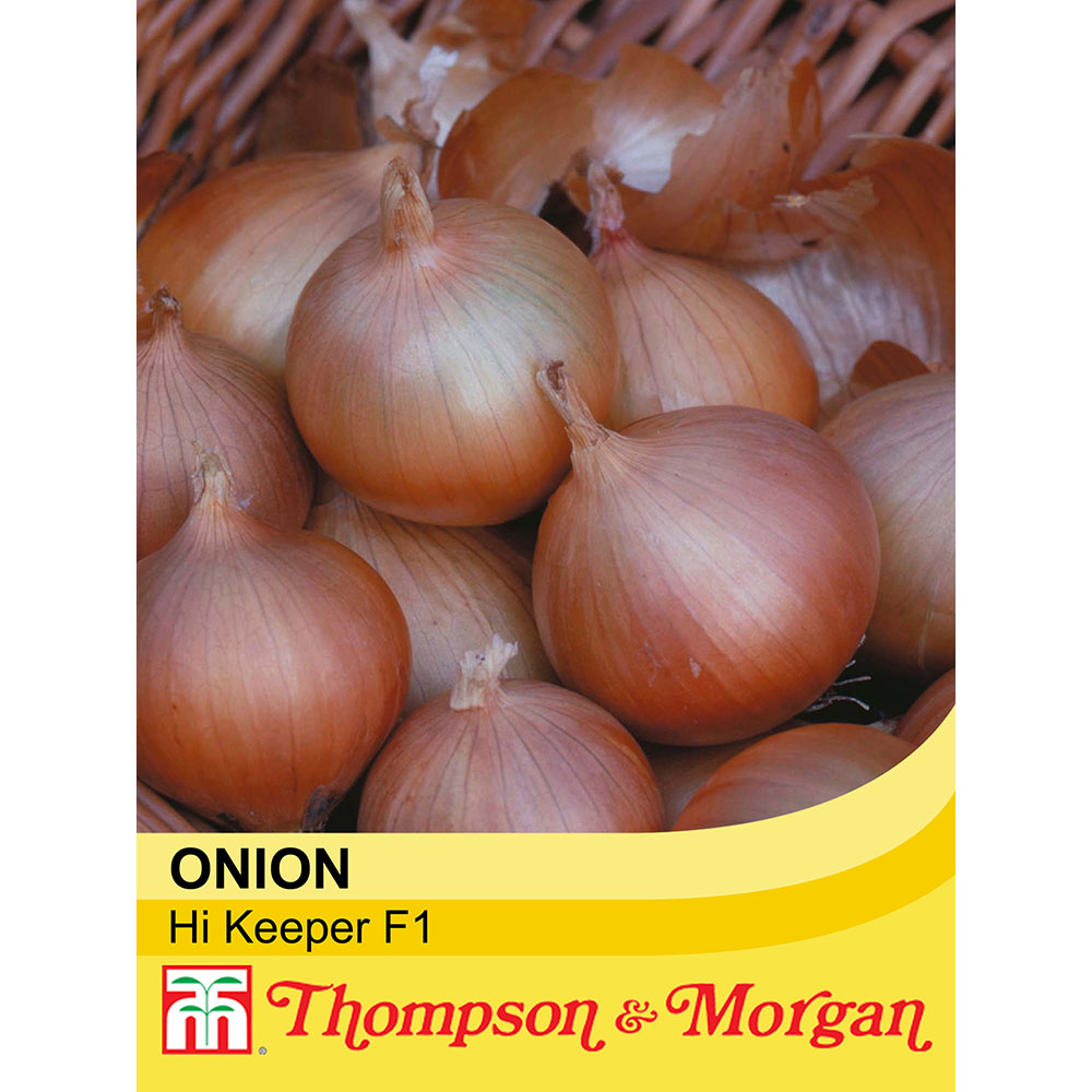 Hybrid onion seed - Hi Keeper - thompson-morgan - yellow