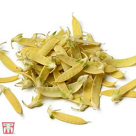 Pea 'Golden Sweet' (Mangetout) - Seeds