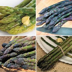 Asparagus officinalis Collection (Spring Planting)
