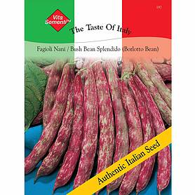 Dwarf Bean 'Splendido' (Borlotti Bean) - Vita Sementi® Italian Seeds