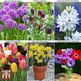 Ultimate Spring Bulb Collection