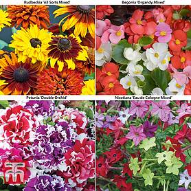 Summer Bedding Collection
