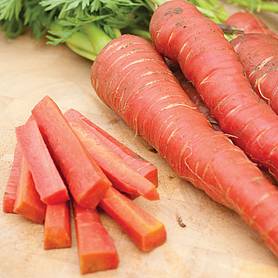 Carrot 'Atomic Red'