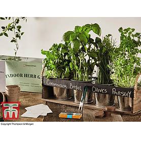 Chalk Board Herb Garden Gift Set - Gift