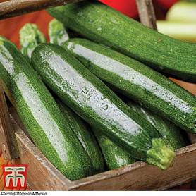 Courgette 'All Green Bush' - Seeds
