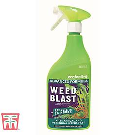 ecofective WeedBlast Ready To Use