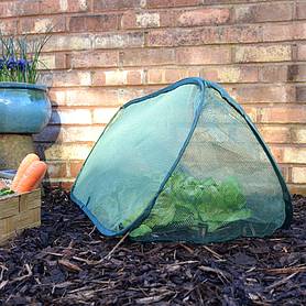 Pop Up Mini Grow Tunnel & Vegetable Bed Cover