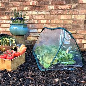 Pop Up Mini Greenhouse & Polytunnel Cloche